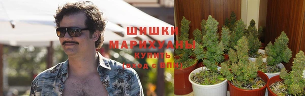 меф Няндома