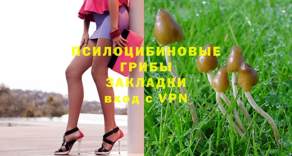 дурь Михайлов