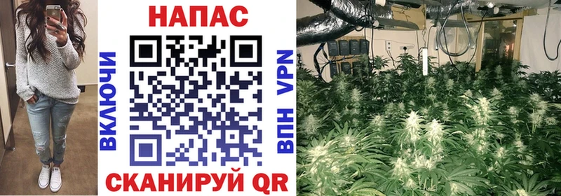 маркетплейс наркотические препараты  Палласовка  Шишки марихуана White Widow  как найти закладки 